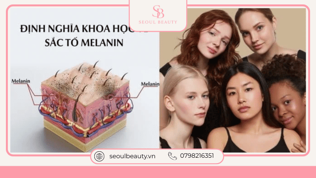 Hiểu Đúng Về Cơ Chế Sắc Tố Và Bản Chất Của Làn Da Trắng Khỏe